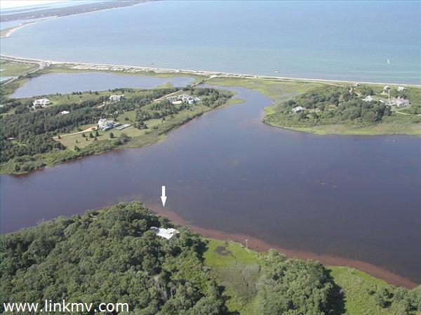 Trapp's Pond Waterfront