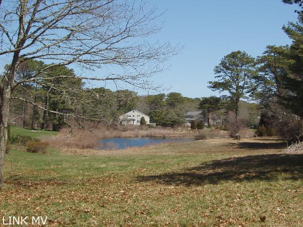 Hidden Cove Pond View