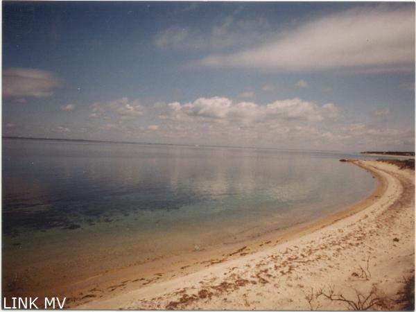 1400 feet of association beach and great swimming shore