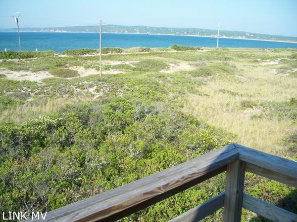 view from second floor main house