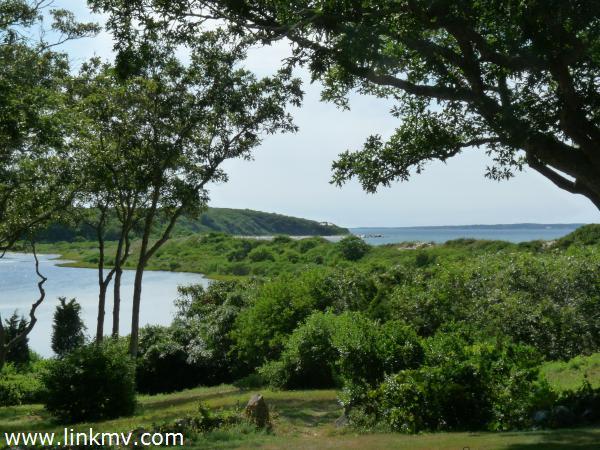 View to James Pond over landscaped grounds.