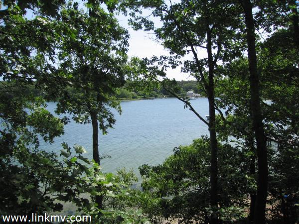 Private woodlands with waterfront