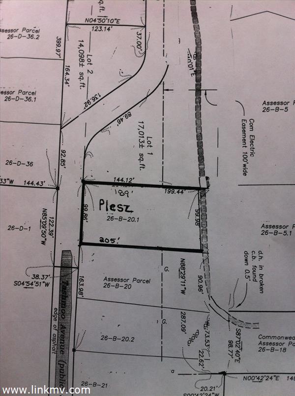 TASHMOO AVENUE