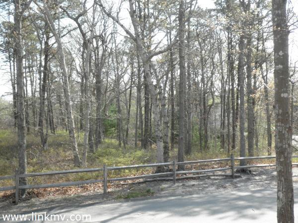 Subject Property - Lot 1