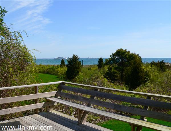 Vineyard Haven real estate 21341
