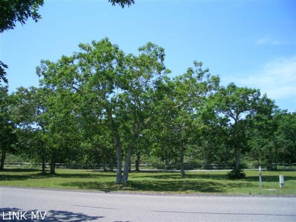 Bold Meadow Entrance
