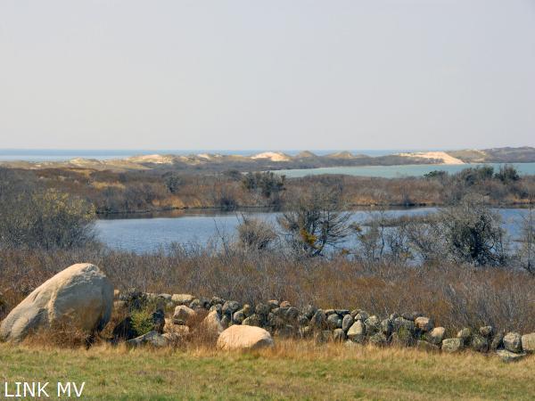 pondview