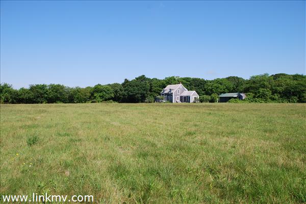 Fields on house lot