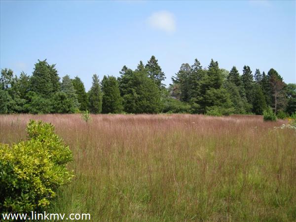 East Meadow