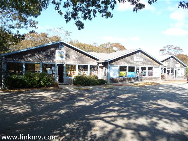 Vineyard Haven real estate 22221