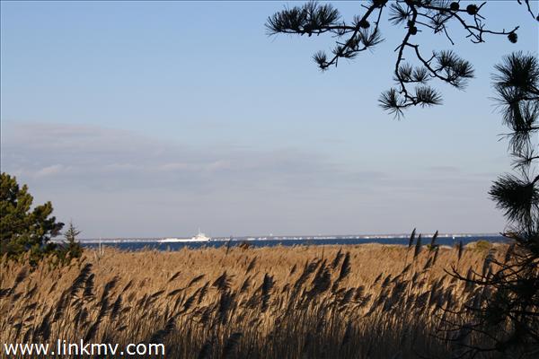 View of Vineyard Sound from land