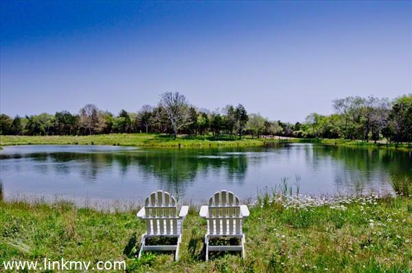The View Across West Pond In Noras Meadow