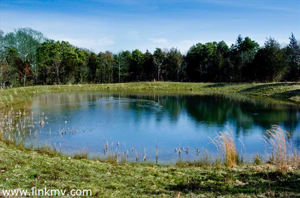 6 Noras Way - View Across East Pond