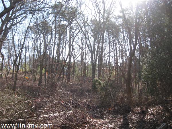 Wooded Private Lot