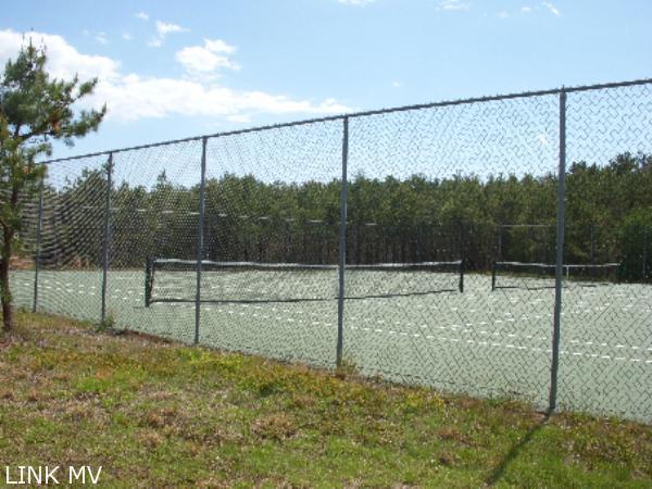 Association Tennis