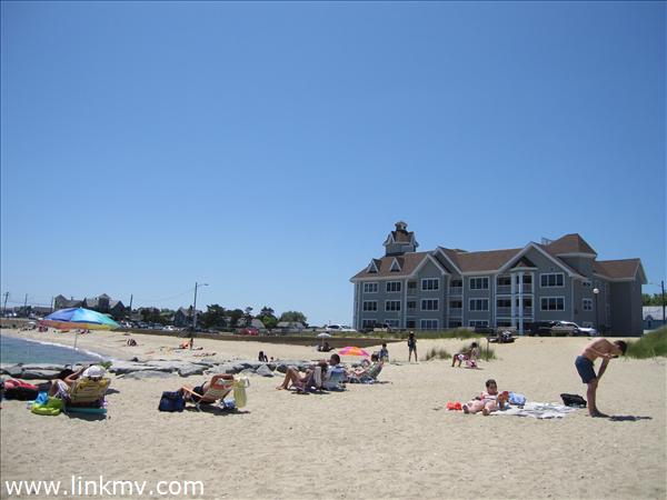 Oak Bluffs real estate 23137