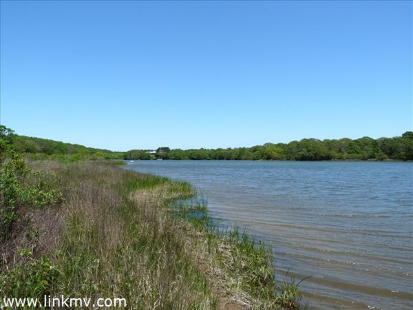 Waterfront on the Great Pond again.