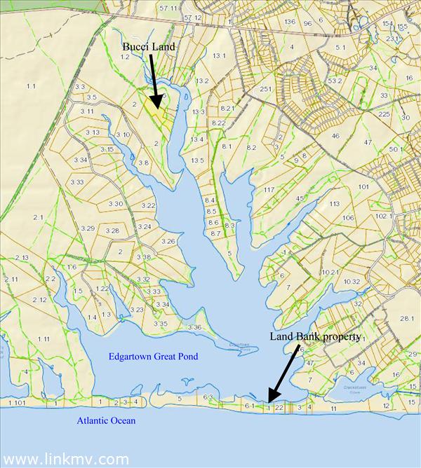 Map of the property on Edg Great Pond