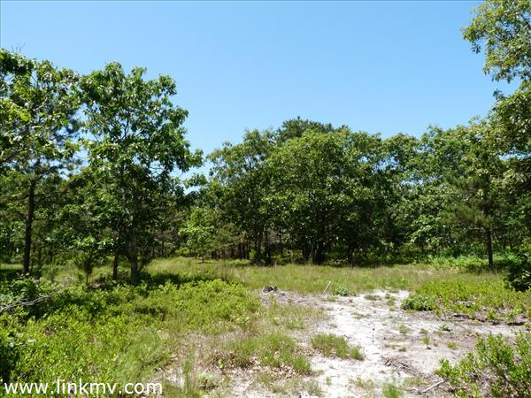 Approx location of the building site.