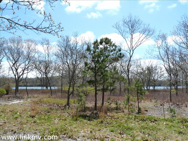 Edgartown real estate 23152