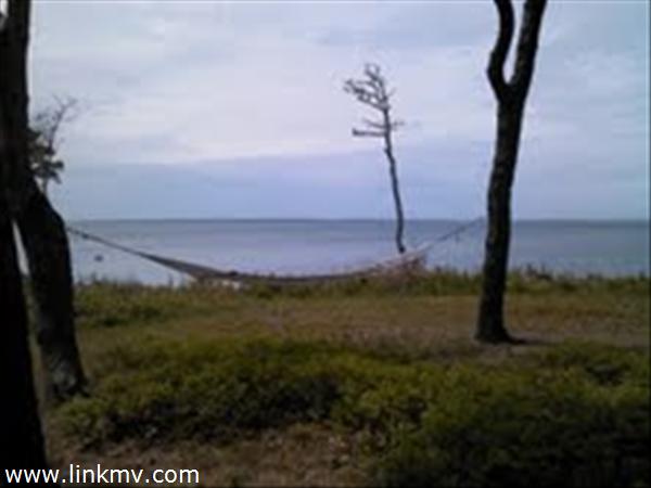 Front of home as seen from edge of hill to Vineyard Sound