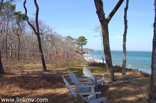 Vineyard Haven real estate 23178