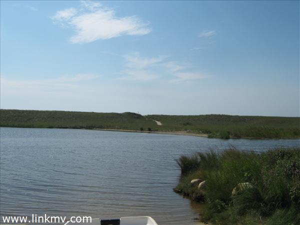 Pond View