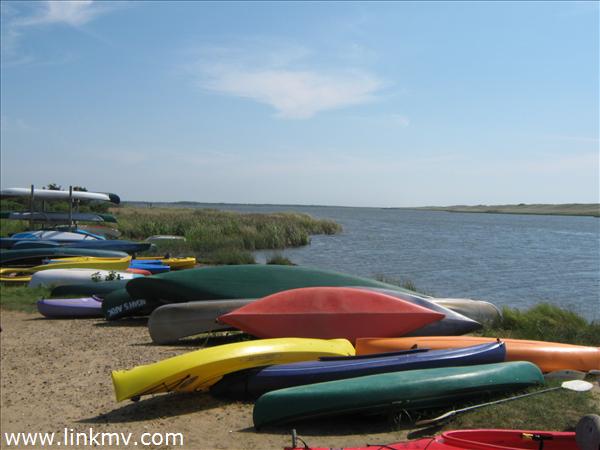Kayak Landing