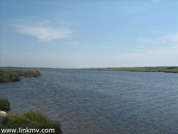 Pond View