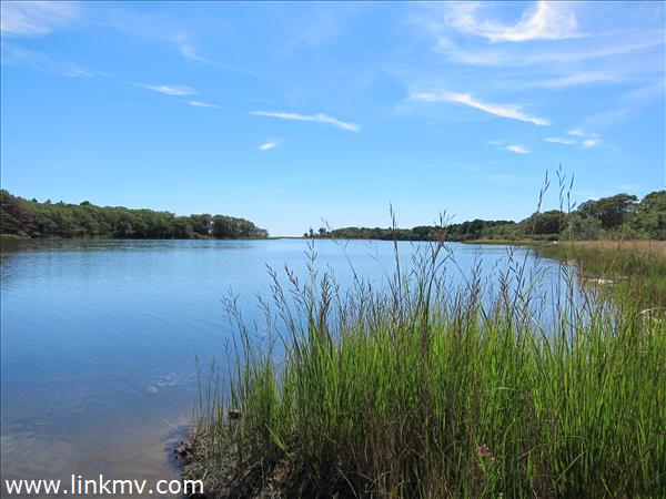 Wintucket Cove looking toward South Beach