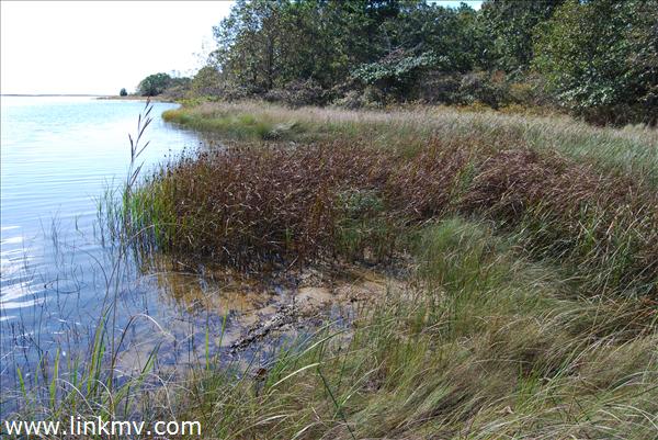 Photo from area of house site