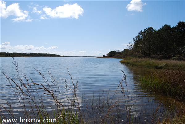 Photo at Pondfront