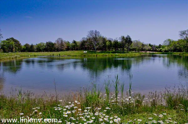 3 Noras Way - View Across West Pond Toward Lot #3 Point