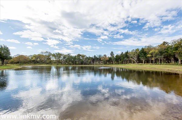 View From Lot 7 Across West Pond