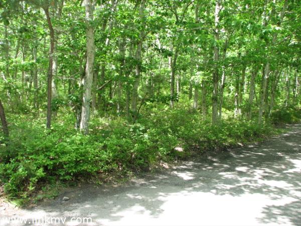 The Forest Of Plenty