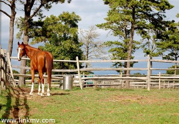 Picturesque Equine Facility