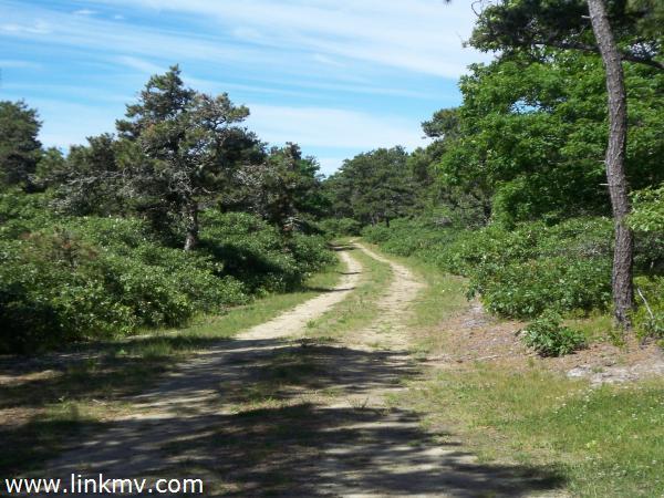 Private Drive to Lot 5