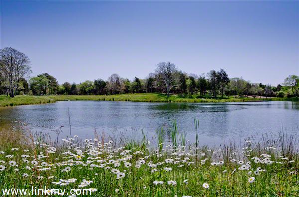 The Bucolic Setting Of West Pond At Noras Meadow