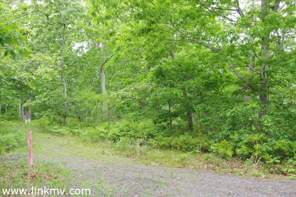 Cobbs Hill Road