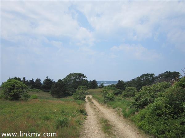 Bucolic Entrance in to site.