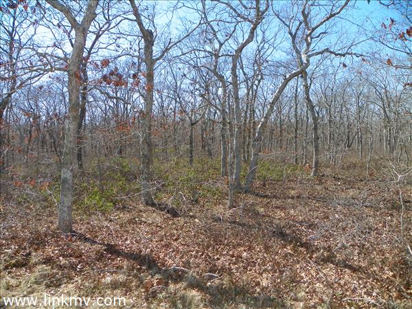 Beautifully private surrounded by acres of conservation land