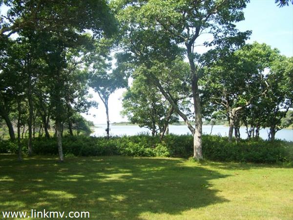 View of pond from front lawn