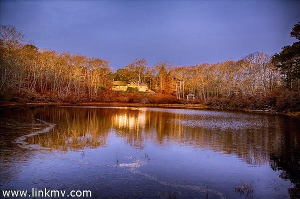 View from living room to pond