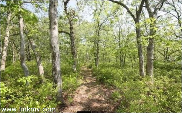Pathway from Oak Knoll Rd to Old Coach Rd.